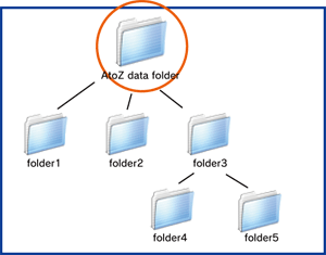 About reference folder